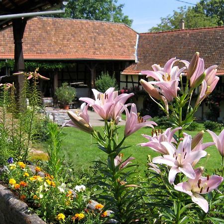 Le gîte des écureuils Schalkendorf Exterior foto