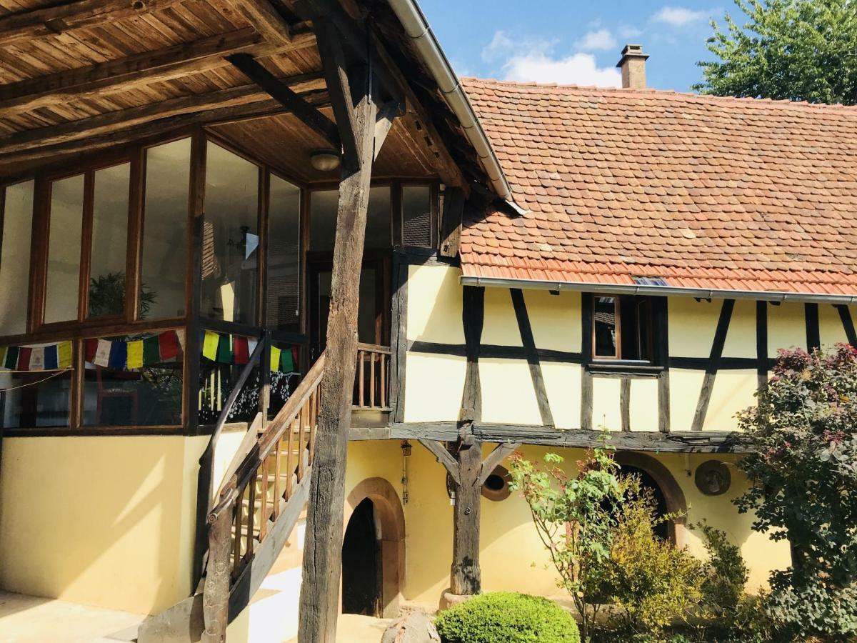 Le gîte des écureuils Schalkendorf Exterior foto