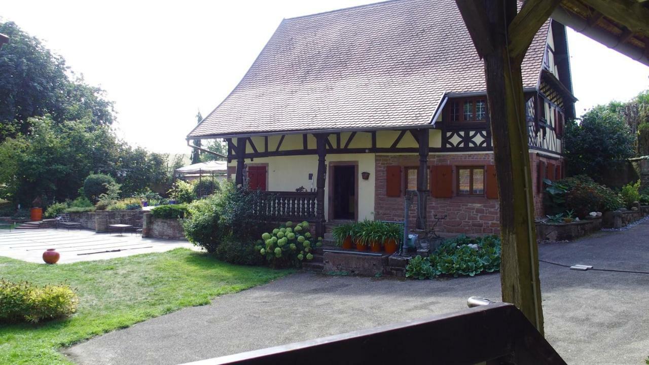 Le gîte des écureuils Schalkendorf Exterior foto