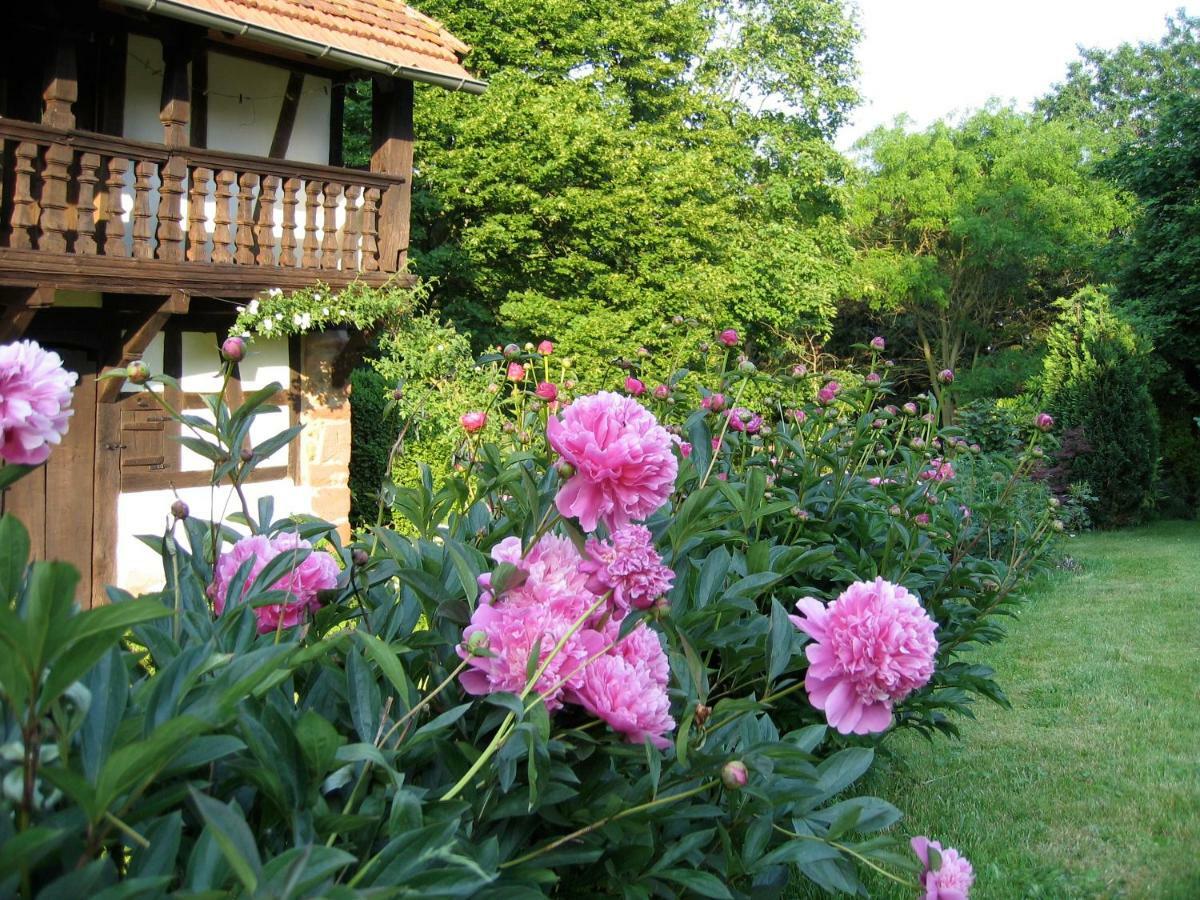 Le gîte des écureuils Schalkendorf Exterior foto